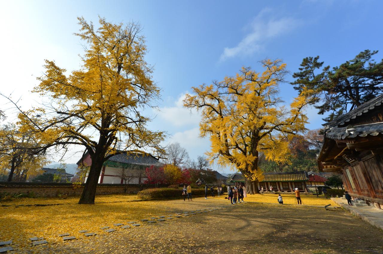 Pinetree View Hanok Guesthouse Jeonju Exterior foto