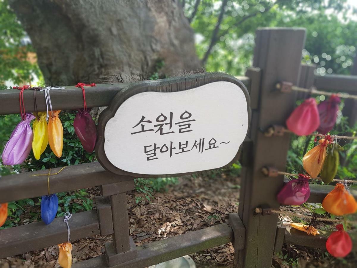 Pinetree View Hanok Guesthouse Jeonju Exterior foto